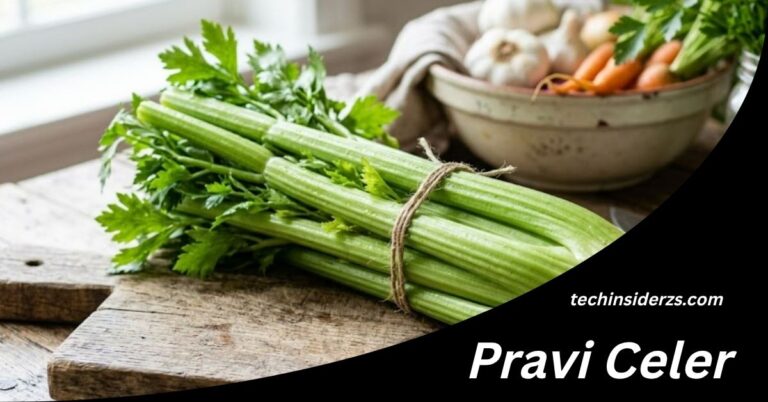 Pravi Celer